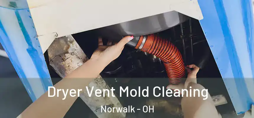  Dryer Vent Mold Cleaning Norwalk - OH