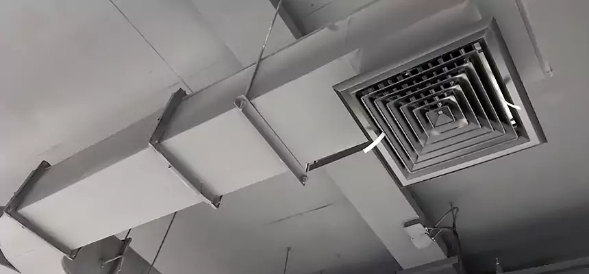 Restorative Allergy Relief Vent Cleaning – Coil, Blower & Housing Detail in Norwalk