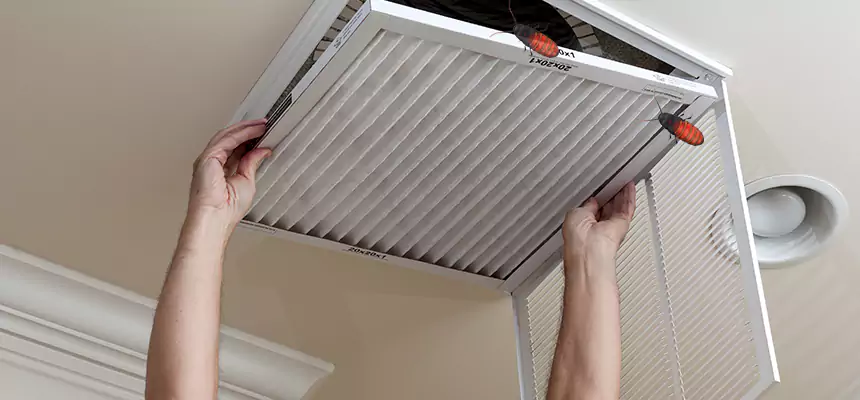Our Insect Removal from Air Ducts Services in Norwalk, OH
