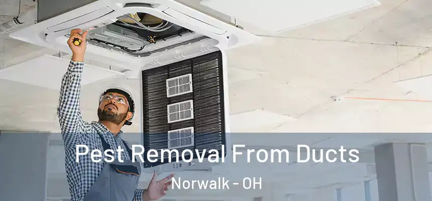  Pest Removal From Ducts Norwalk - OH