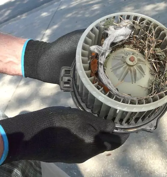 About Air Duct Rat Removal in Norwalk, OH